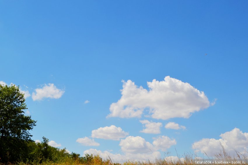 А у нас еще - ЛЕТО-ЛЕТО! Еще один выходной за городом с Клео