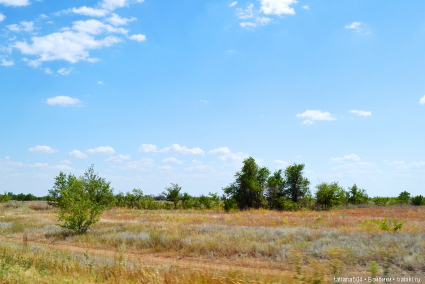 А у нас еще - ЛЕТО-ЛЕТО! Еще один выходной за городом с Клео