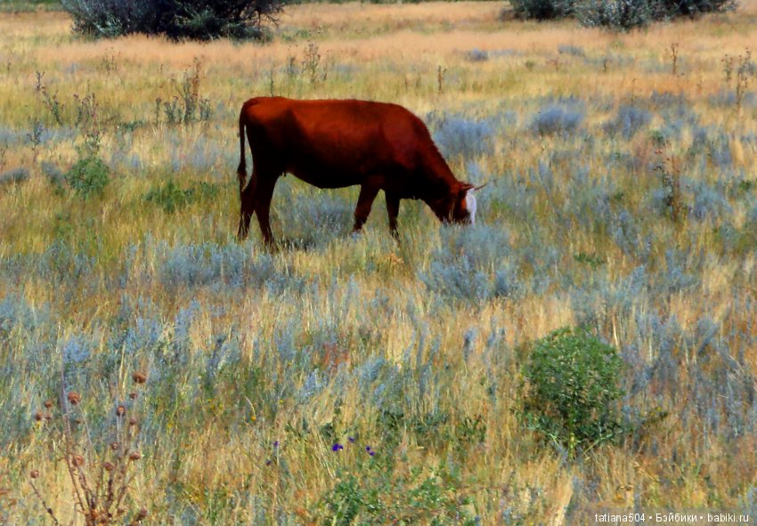 А у нас еще - ЛЕТО-ЛЕТО! Еще один выходной за городом с Клео