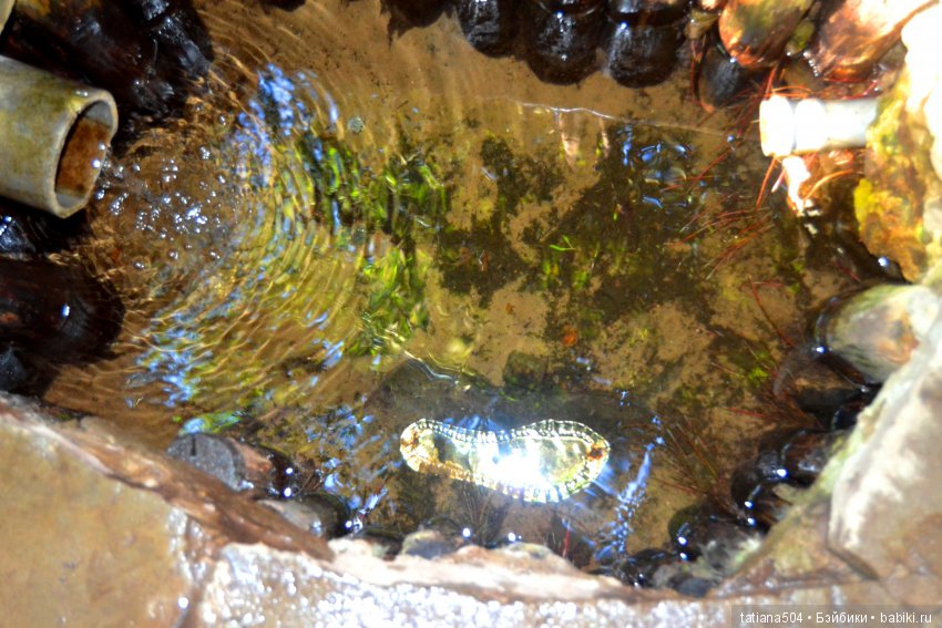 А у нас еще - ЛЕТО-ЛЕТО! Еще один выходной за городом с Клео