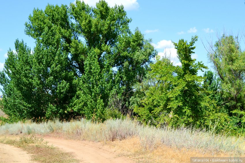 А у нас еще - ЛЕТО-ЛЕТО! Еще один выходной за городом с Клео