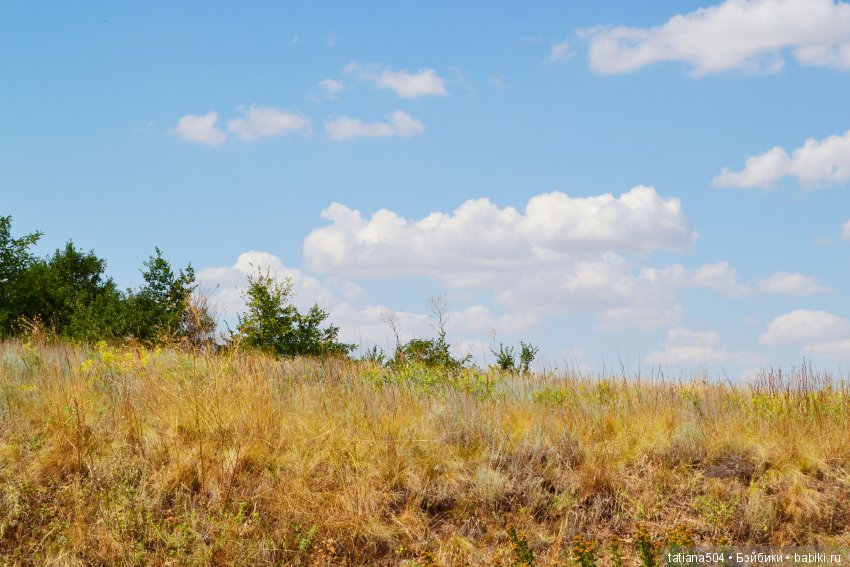 А у нас еще - ЛЕТО-ЛЕТО! Еще один выходной за городом с Клео