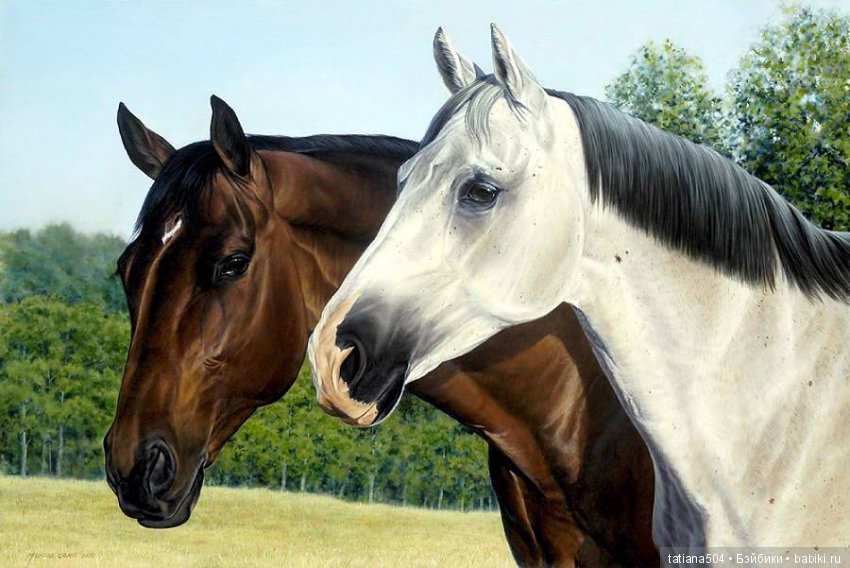 Кони в яблоках, кони сеpые, как мечта моя кони смелые…