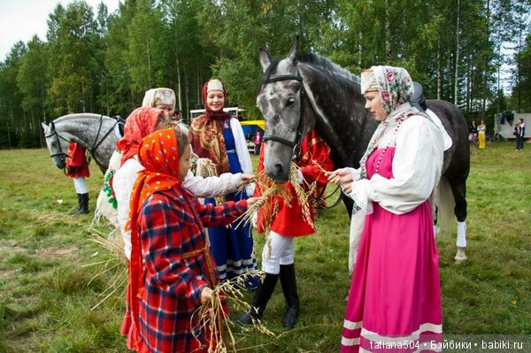 Кони в яблоках, кони сеpые, как мечта моя кони смелые… (фото 3)