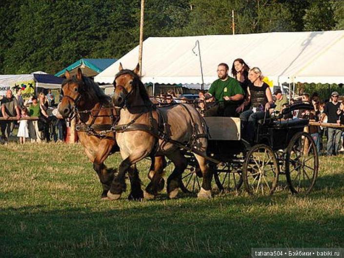 Кони в яблоках, кони сеpые, как мечта моя кони смелые… (фото 9)
