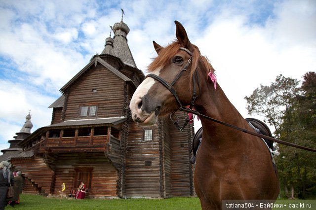 Кони в яблоках, кони сеpые, как мечта моя кони смелые… (фото 2)