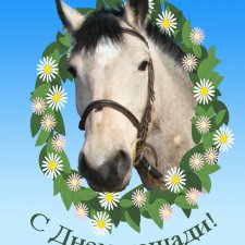 Кони в яблоках, кони сеpые, как мечта моя кони смелые…