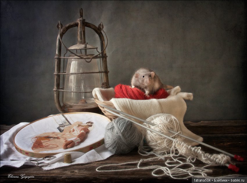 "Кошки-мышки" от Элеоноры Григорьевой (Eleonora Grigorjeva)