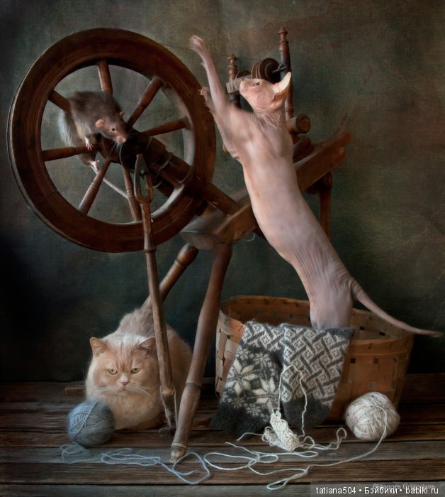 "Кошки-мышки" от Элеоноры Григорьевой (Eleonora Grigorjeva)