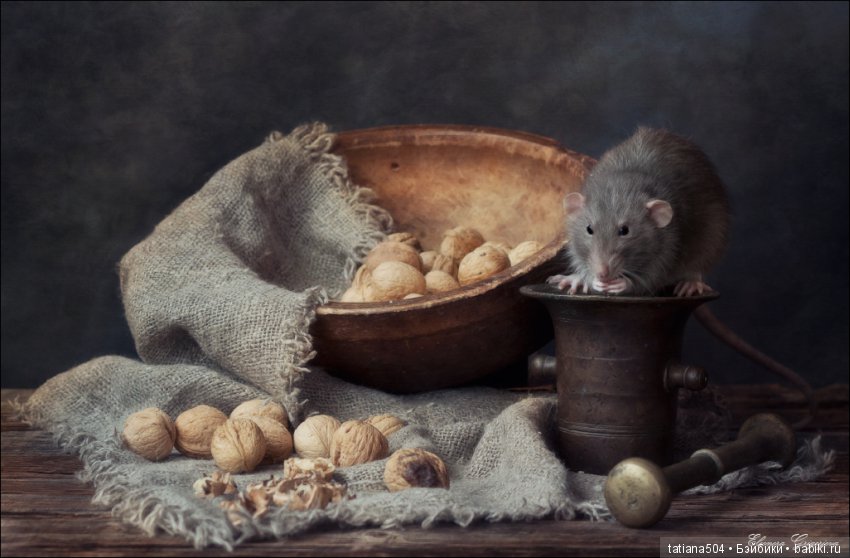 "Кошки-мышки" от Элеоноры Григорьевой (Eleonora Grigorjeva)