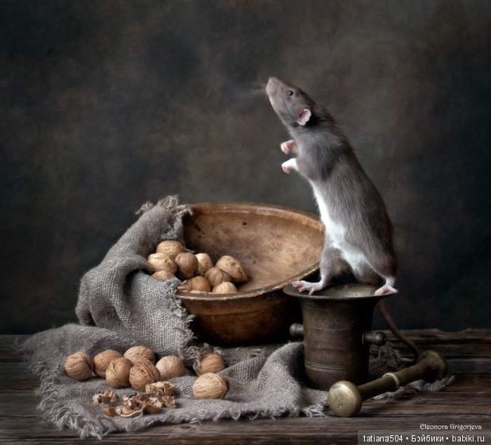 "Кошки-мышки" от Элеоноры Григорьевой (Eleonora Grigorjeva)