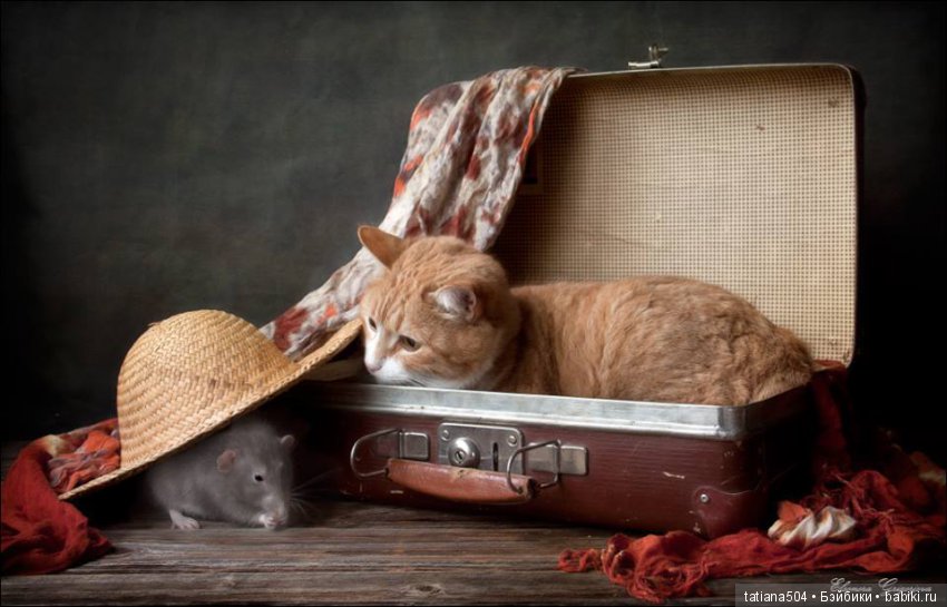 "Кошки-мышки" от Элеоноры Григорьевой (Eleonora Grigorjeva)