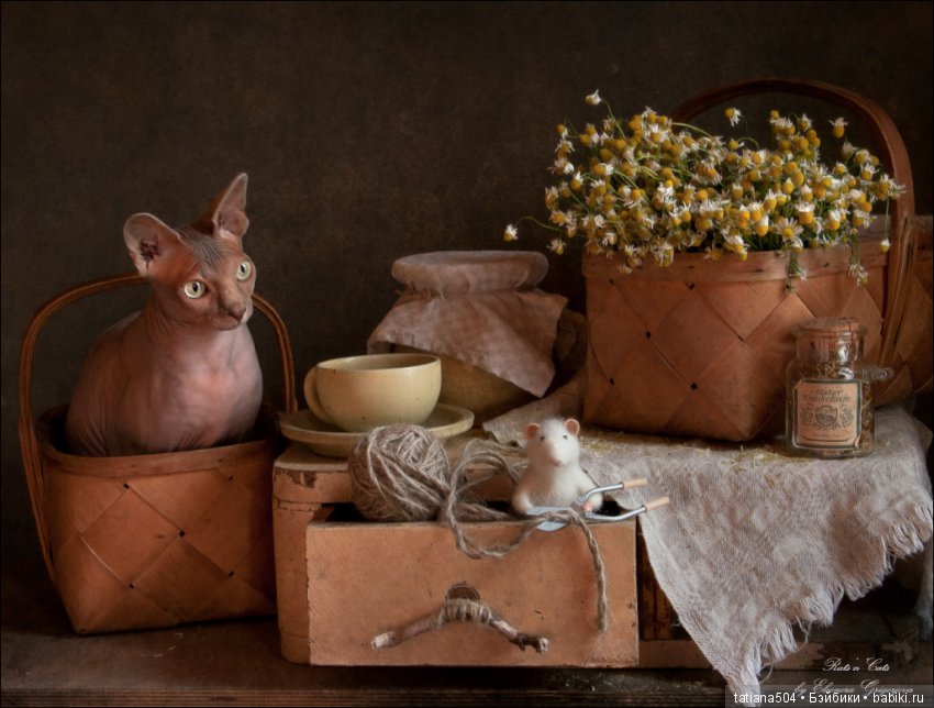"Кошки-мышки" от Элеоноры Григорьевой (Eleonora Grigorjeva) (фото 10)