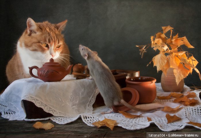 "Кошки-мышки" от Элеоноры Григорьевой (Eleonora Grigorjeva)