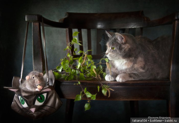 "Кошки-мышки" от Элеоноры Григорьевой (Eleonora Grigorjeva)