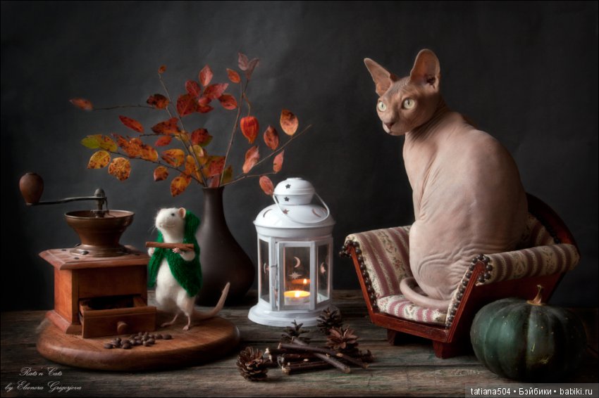 "Кошки-мышки" от Элеоноры Григорьевой (Eleonora Grigorjeva)