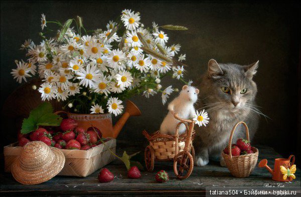 "Кошки-мышки" от Элеоноры Григорьевой (Eleonora Grigorjeva) (фото 9)