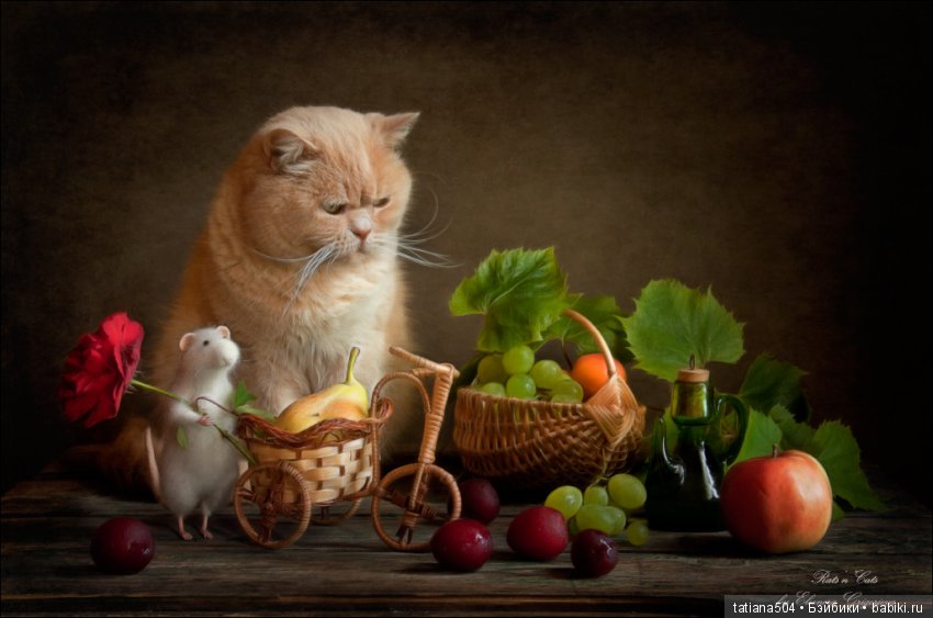 "Кошки-мышки" от Элеоноры Григорьевой (Eleonora Grigorjeva)