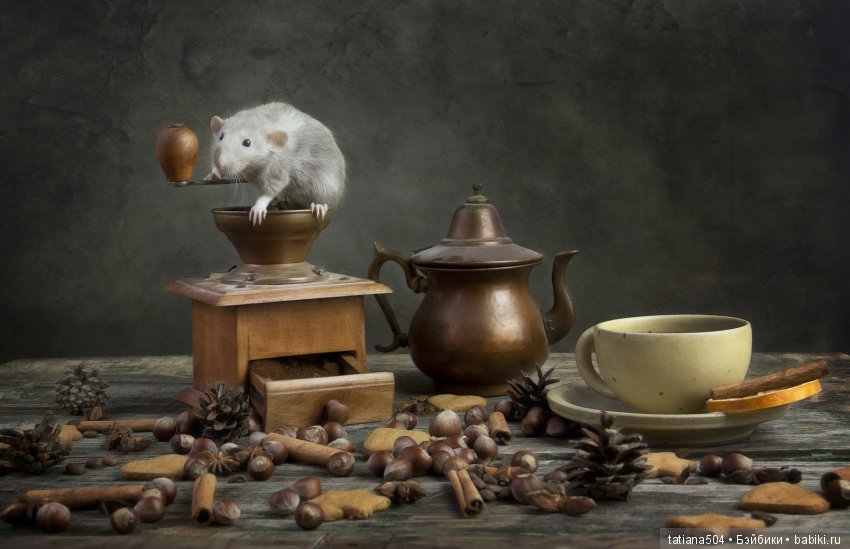 "Кошки-мышки" от Элеоноры Григорьевой (Eleonora Grigorjeva)