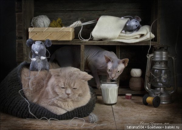 "Кошки-мышки" от Элеоноры Григорьевой (Eleonora Grigorjeva) (фото 4)