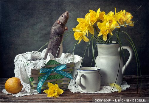 "Кошки-мышки" от Элеоноры Григорьевой (Eleonora Grigorjeva)