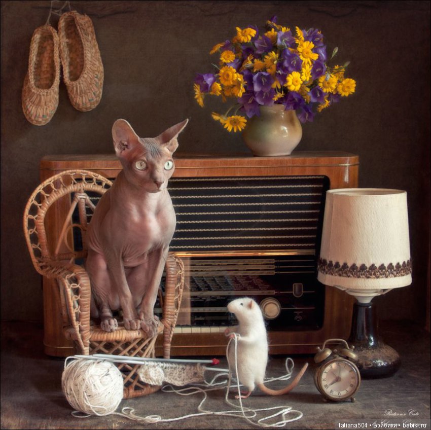 "Кошки-мышки" от Элеоноры Григорьевой (Eleonora Grigorjeva) (фото 5)