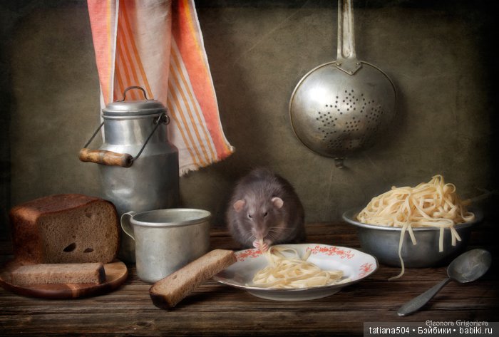 "Кошки-мышки" от Элеоноры Григорьевой (Eleonora Grigorjeva)