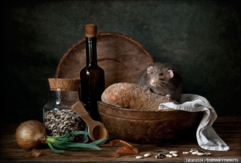 "Кошки-мышки" от Элеоноры Григорьевой (Eleonora Grigorjeva)