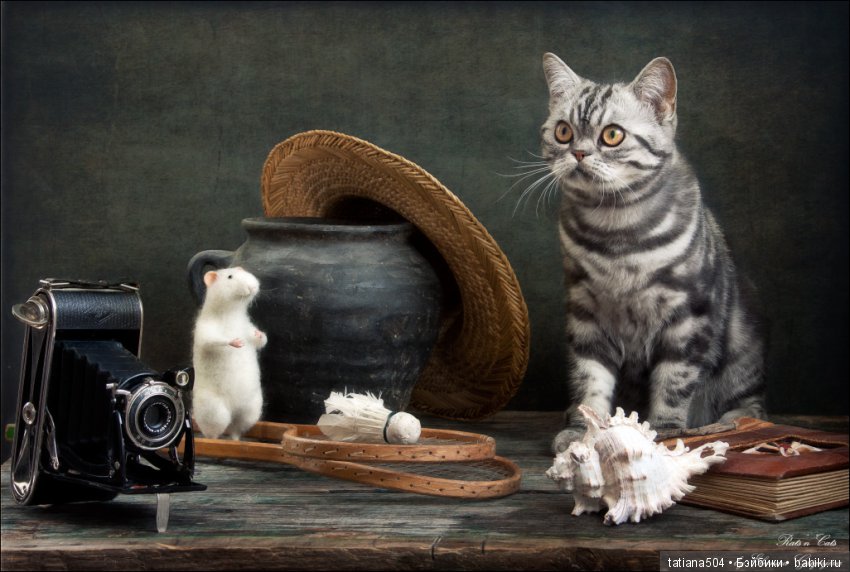 "Кошки-мышки" от Элеоноры Григорьевой (Eleonora Grigorjeva)