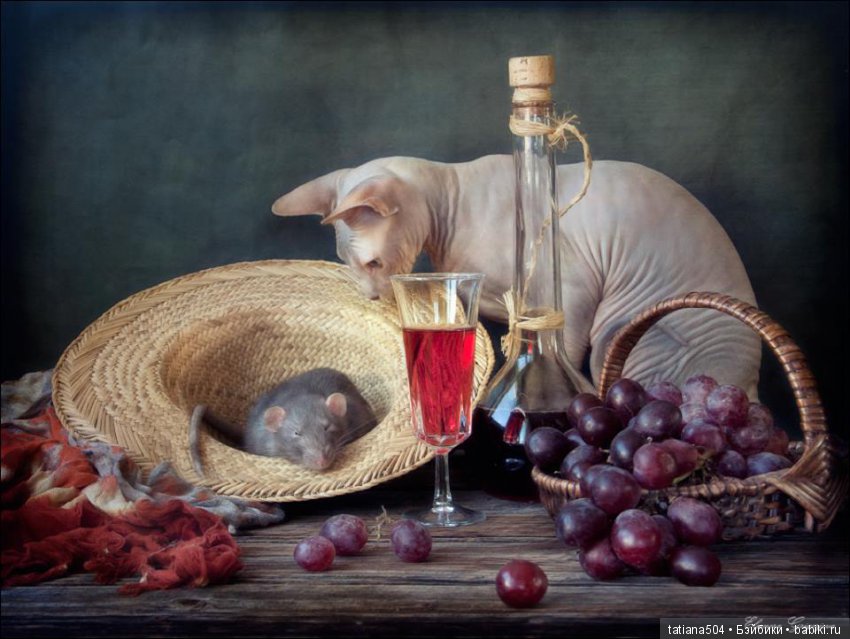 "Кошки-мышки" от Элеоноры Григорьевой (Eleonora Grigorjeva)