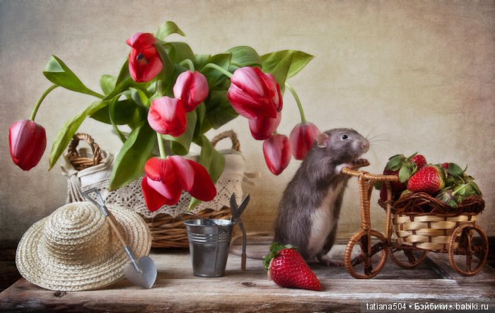 "Кошки-мышки" от Элеоноры Григорьевой (Eleonora Grigorjeva)