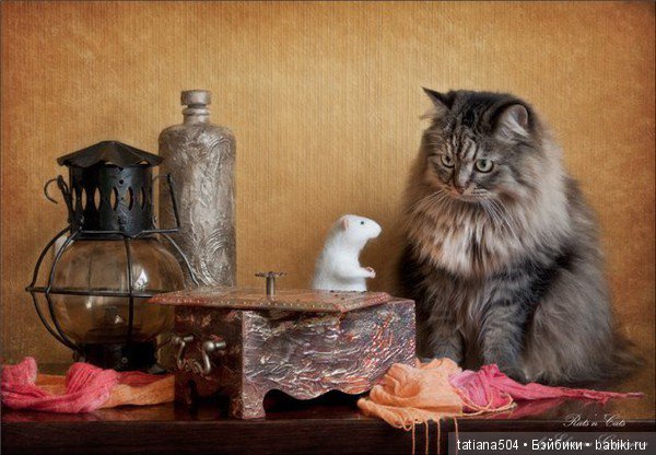 "Кошки-мышки" от Элеоноры Григорьевой (Eleonora Grigorjeva) (фото 7)