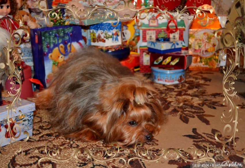 Зови меня просто Машей!!! Или МАША вне формата и как эта девочка умеет создать праздник