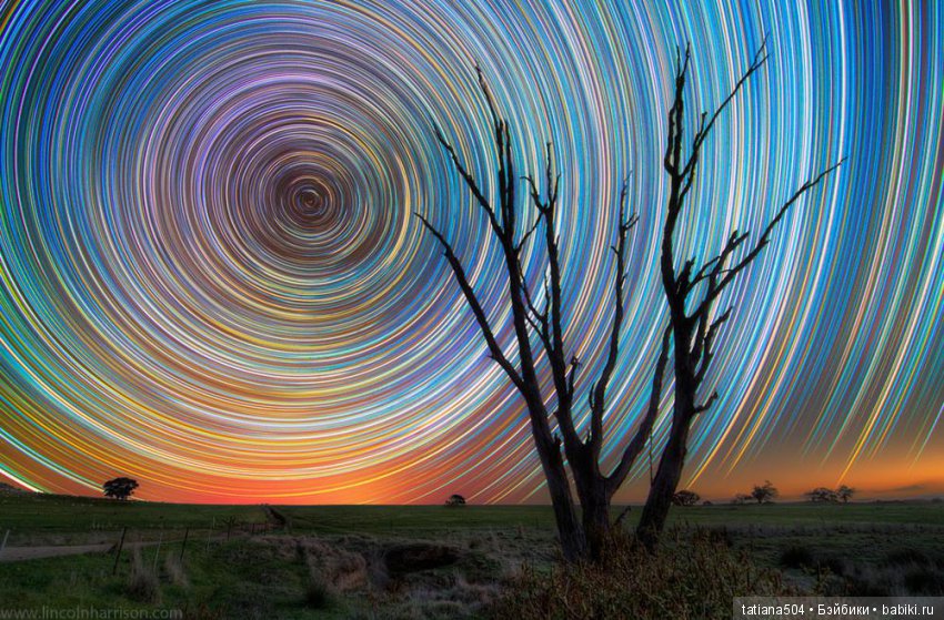 Природа - лучший учитель — Сочетание цветов: палитры для одежды и интерьера