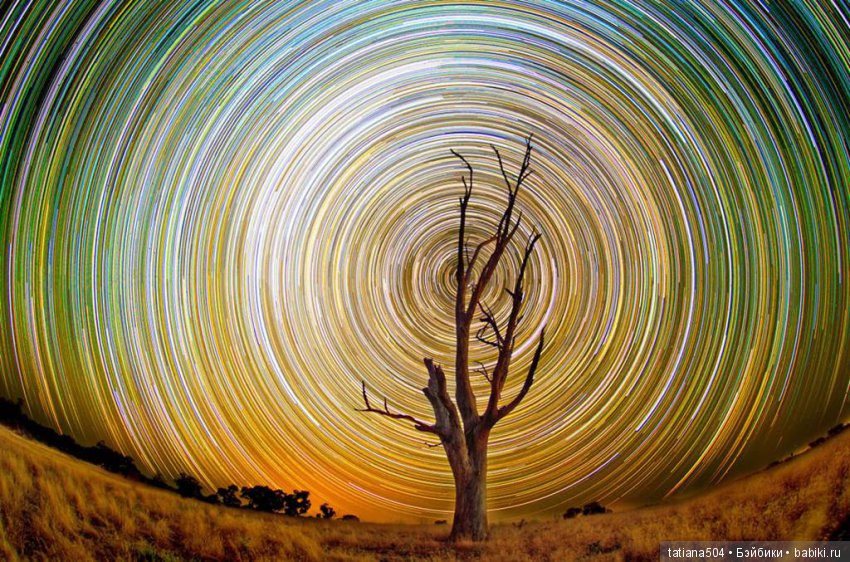 Природа - лучший учитель — Сочетание цветов: палитры для одежды и интерьера