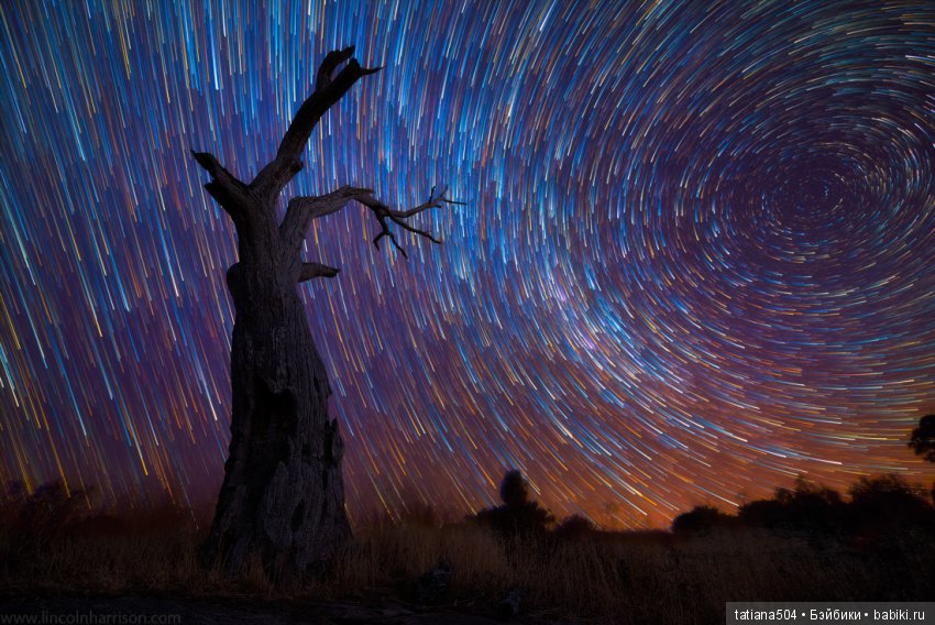 Природа - лучший учитель — Сочетание цветов: палитры для одежды и интерьера