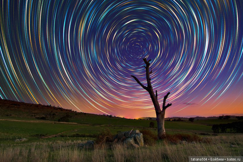 Природа - лучший учитель — Сочетание цветов: палитры для одежды и интерьера