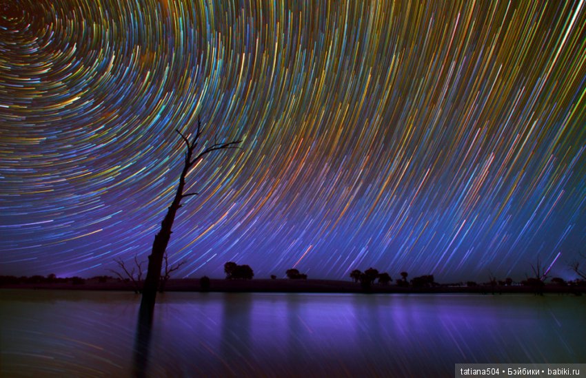 Природа - лучший учитель — Сочетание цветов: палитры для одежды и интерьера