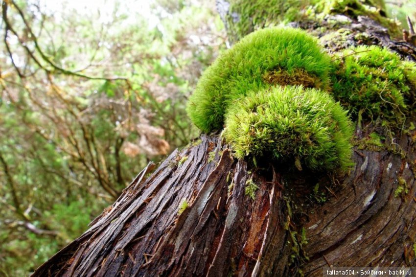 Природа - лучший учитель — Сочетание цветов: палитры для одежды и интерьера (фото 8)