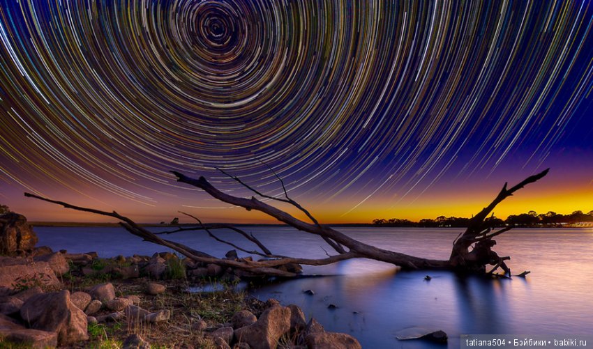 Природа - лучший учитель — Сочетание цветов: палитры для одежды и интерьера