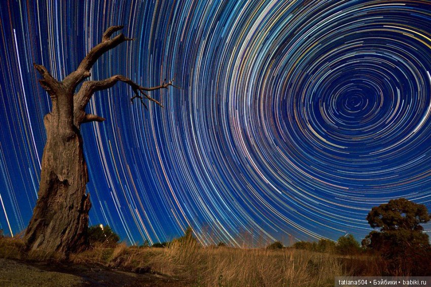 Природа - лучший учитель — Сочетание цветов: палитры для одежды и интерьера