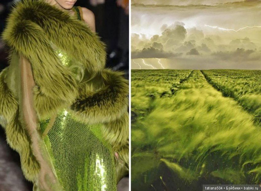 Природа - лучший учитель — Сочетание цветов: палитры для одежды и интерьера