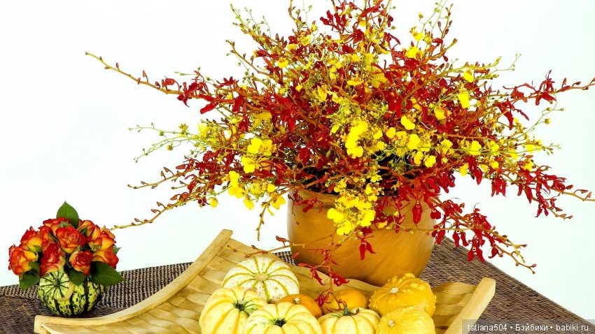 Люблю тебя, ЦВЕТОК, творенье… или ода куклам Annette Himstedt