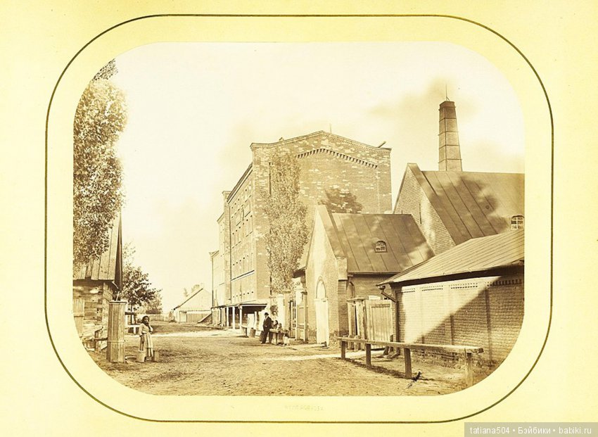 Наше путешествие в Старую Сарепту. (продолжение) (фото 3)