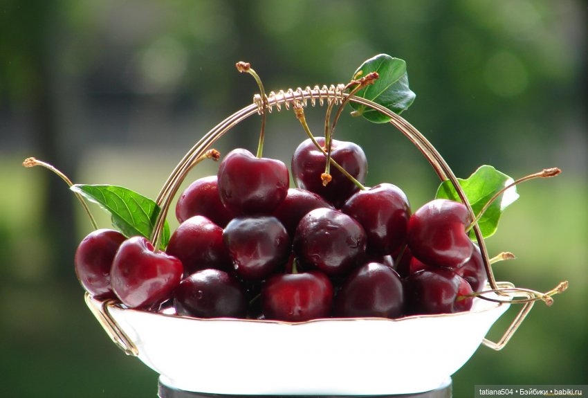 «Птичья вишня» Приглашаю в гости | Бэйбики «Птичья вишня» Приглашаю в гости