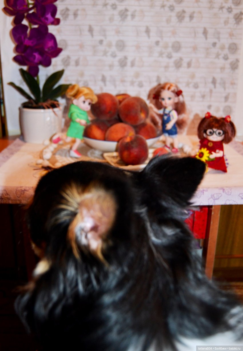 Неудачный фотосет или как мы готовились отметить День персика (фото 2)