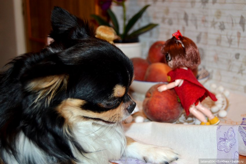 Неудачный фотосет или как мы готовились отметить День персика