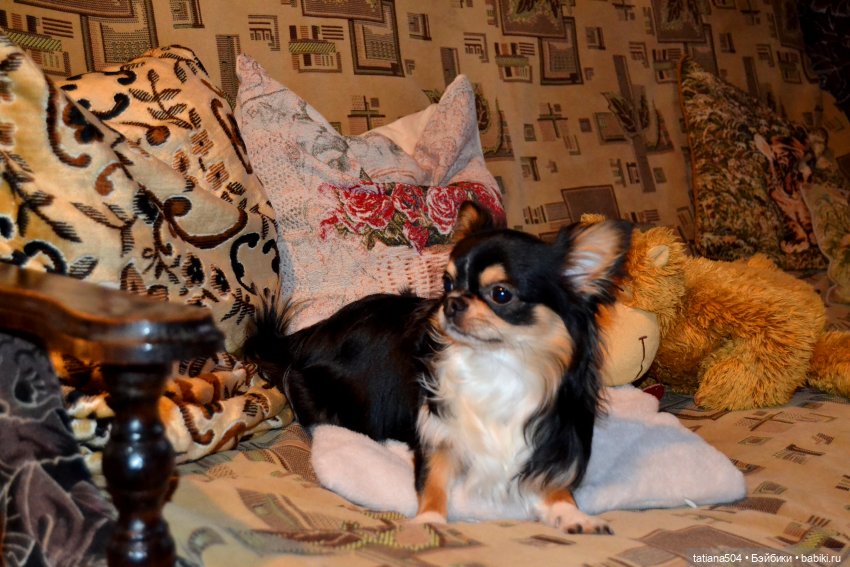 Неудачный фотосет или как мы готовились отметить День персика