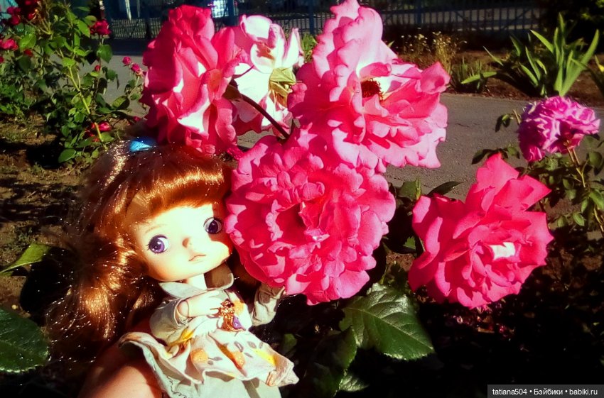 Розы, солнце, Ника — Разные шарнирные куклы (не БЖД): редкие (фото 6)