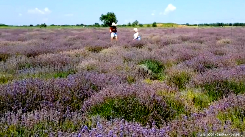 Люся раз, Люся два, Люся три… Или мои куклы мини BERJUAN (фото 10)